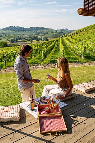 Experience - Picnic in the vineyards